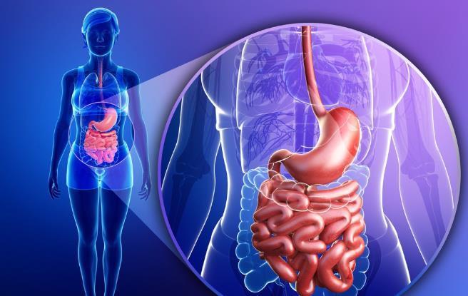 酒精|喝酒做到這6點,不但不易醉,還能保護肝臟!能喝酒的都知道