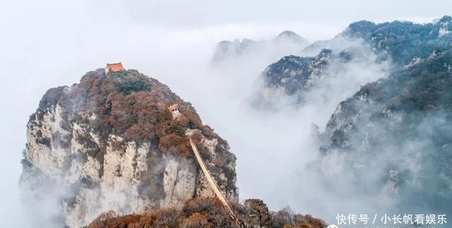 大地|「视觉」河东大地绽新颜 今朝盛景迷人眼
