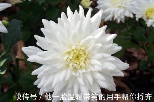 财神|下周起吉星庇佑，鸿运不断，命中有贵人，财神赐福赐财的四属相