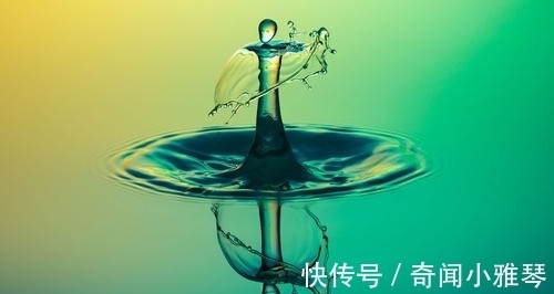 肥胖|16条冷知识,或许看起来不太合理,但却真实地存在于世界上