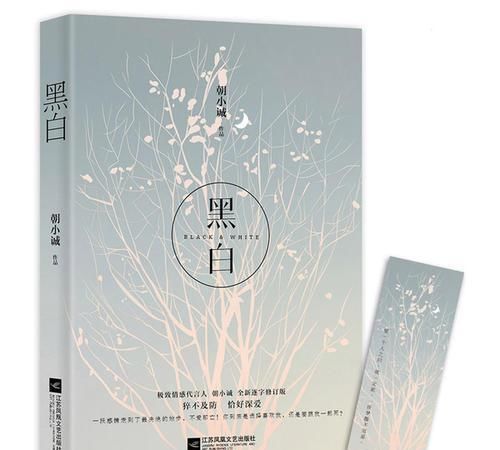  言情|荐书《黑白》强取豪夺黑道言情，纪以宁从来不知道她对唐易多么重要