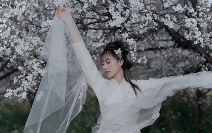为你写诗！临洮的春天在梨花开落间