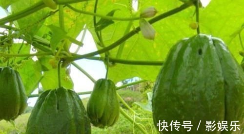 糖尿病人|女性想要身体好,可以多吃3种食物,排毒养颜,提高免疫力!