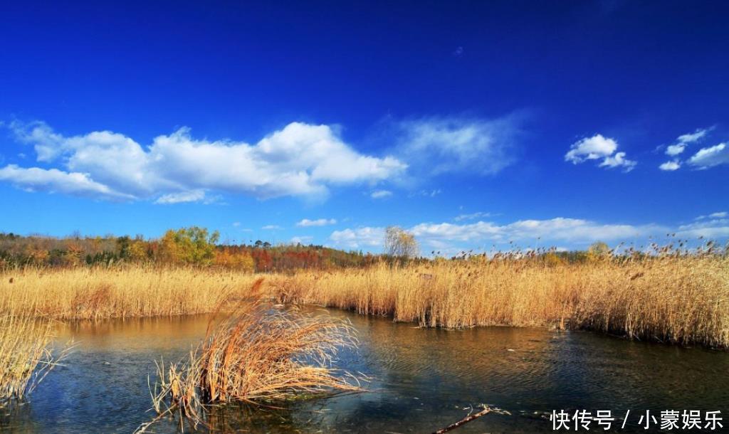 词人|原创范仲淹很凄美的一首词,开篇就是千古名句,短短几句感动了许多人