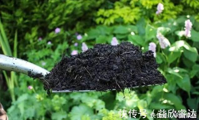 养花大爷透露这3种“废渣”养花，比生根水还好用，养1盆爆1盆