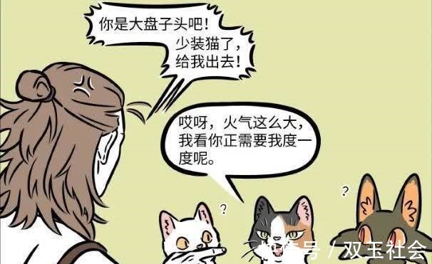 动漫|非人哉：观音变猫咪去套路，杨戬却甘愿中计，真是无可救药！