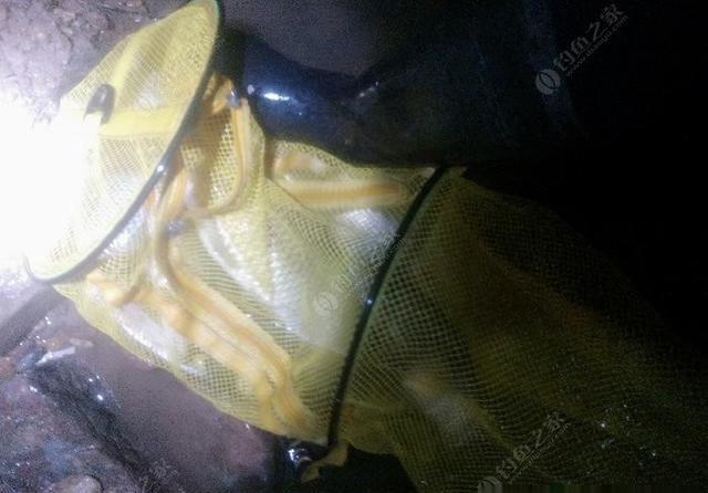 密封带|竿稍节卡住了,用这一招真的很好用