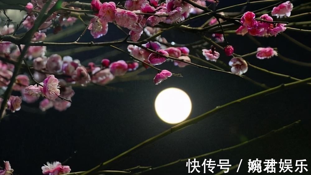 咏早梅$姜夔的一首炫技之作,从开篇美到结尾,800多年来无人能超越