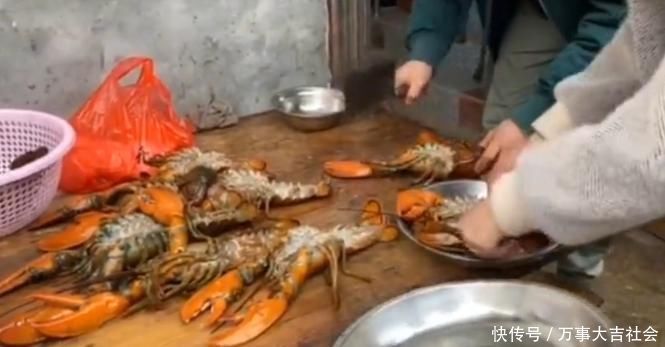 妹子上拼多多买“大虾”,12只花了300元,切开后在搞笑吧