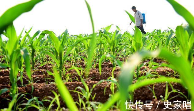 登记证|有人说80%网购农药都不靠谱？注意两点一建议，教你网购正品农药