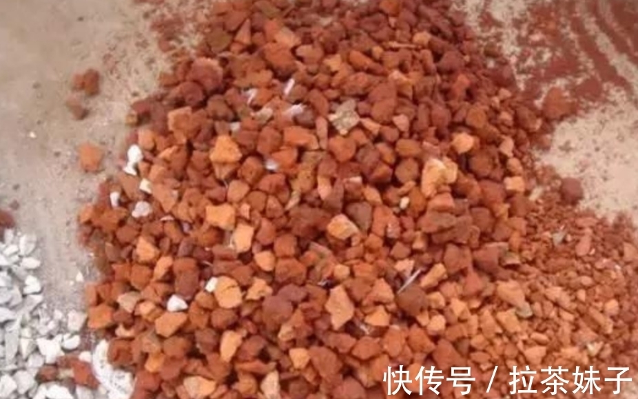 养花小技巧,花盆下面垫5种“东西”,可避免出现烂根黄叶