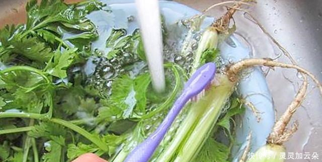 煮鸡蛋,用冷水还是热水很多朋友弄反,难怪鸡蛋不好剥皮还不香