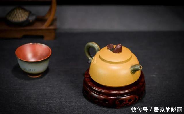 先别|壶养坏了先别扔,这5种情况还能抢救一下