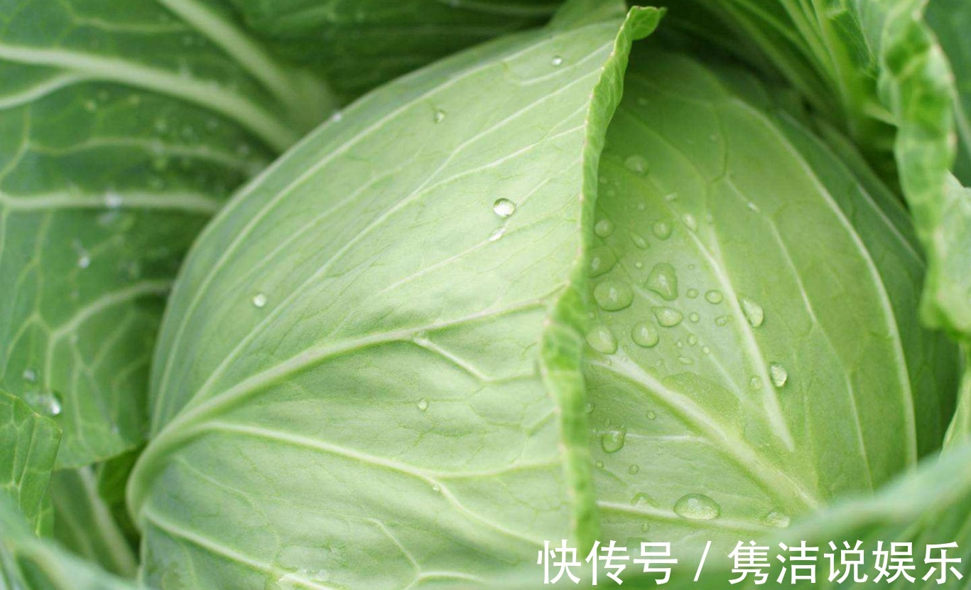 包菜最好吃的5种做法，每种都简单美味，看看你爱吃哪种