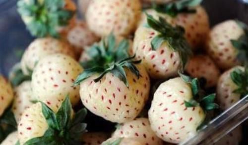 食物|女性担心太早衰老，可以多吃3种食物，美白护肤，越吃越年轻！