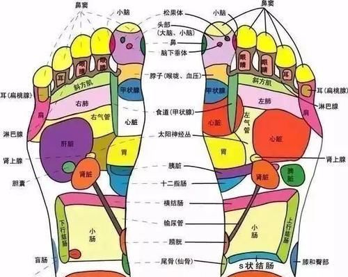  能升|比跑步和游泳更简单！大病都怕它，还能升免疫，人人都能做！
