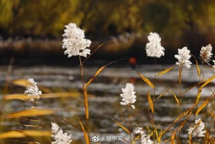 霜降&今日霜降，丹枫如火