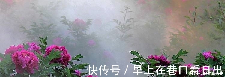 爱莲说|诗豪的这首诗，后两句是千古名言，奠定了牡丹“花王”的地位