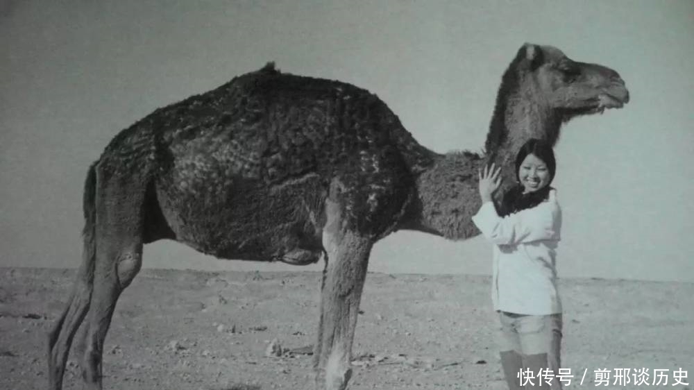  愁容|三毛旧照：少女时楚楚动人，中年依偎异国丈夫怀里，晚年满脸愁容