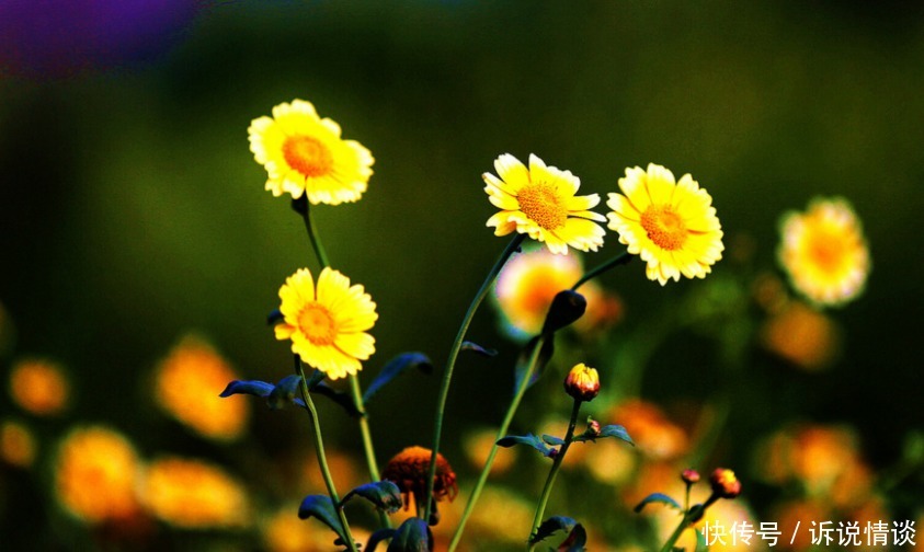 家人|曾国藩:在这3方面舍得花钱的人,即便再穷,也有财源滚滚的一天