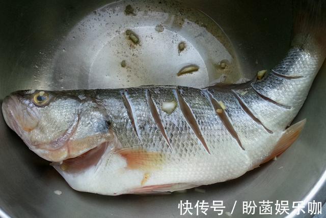 腥味|做清蒸鱼,多加关键的一步,鱼肉鲜嫩,还不带一点儿腥味