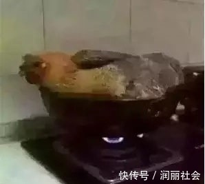 谋杀|熊孩子：麻麻竟给我吃这些东西，她是想要谋杀我，我该怎么办呢？