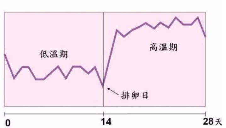 信号|医生：这5大信号，意味着卵子顺利着床了，别因粗心害了宝宝！