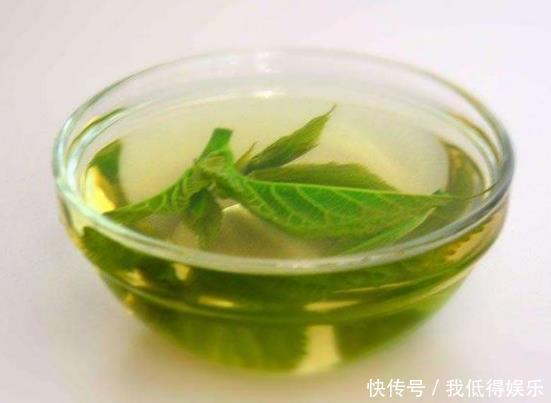  桑叶茶|一叶治百病经常用此“叶子”泡水喝，血液畅通，轻松赶走疾病