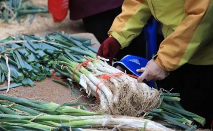 葱农教我3招，大葱放一冬也新鲜，不干不黄不空心，城里人快学学