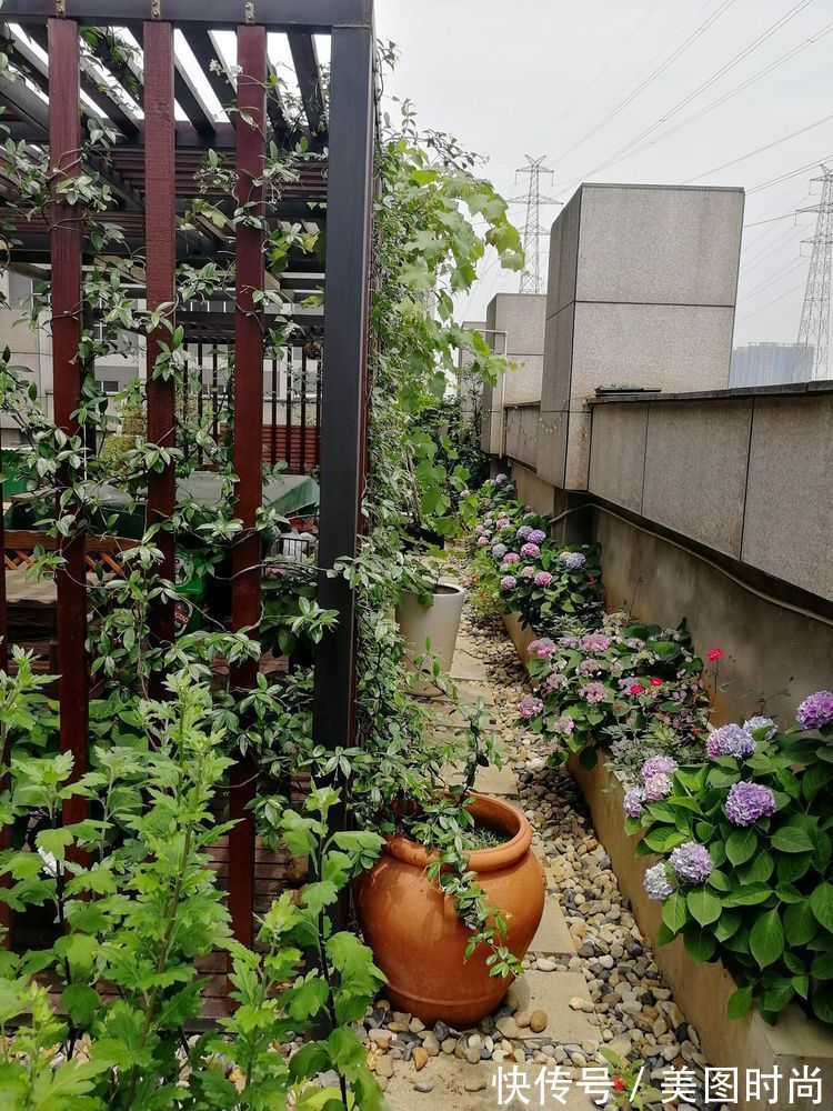 菜地|2年前买了个300㎡的露台,打造成屋顶花园,过上了田园生活