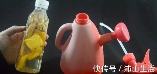 花生壳和橘子皮放在一起，这个用途太实用了，看完尽快提醒家里人