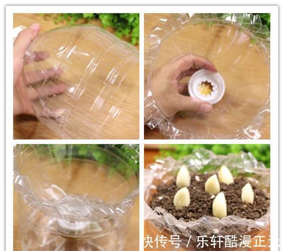 食用油|空油桶不要扔,剪成两半放阳台,美观又实用,隔壁邻居见了都夸妙