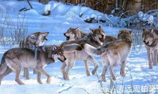 丈夫|姜戎：张抗抗的丈夫，写出了无数作家穷极一生也写不出的小说