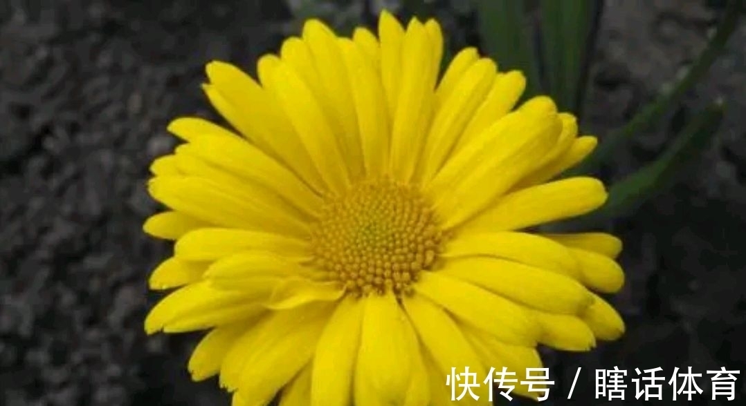 a8705","r":"fa2a4e660baedd8f","rawurl":"http://zm.news.so.com/0dc58480df6485e3b14bc0f19416089d","recalltag":"__0__1773","recalltype":"channel","refer":"","requestid":"07bcf68fc86eb370902a481c4db1f1f3:9585c67d