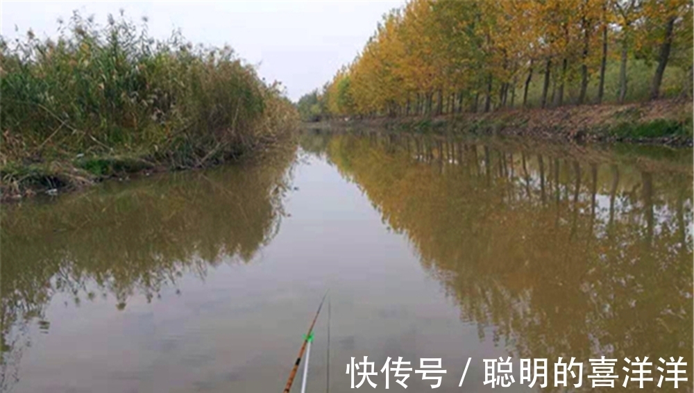 冬季钓鱼,技巧无非6个“小”,掌握这些要点,没有不爆护的道理