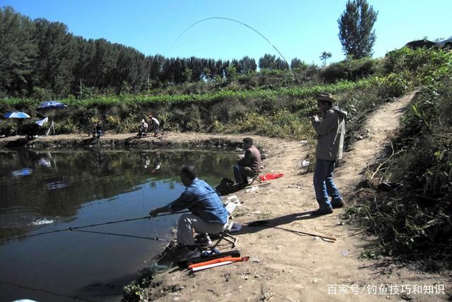 钓生口鲤鱼用哪种味型的窝料诱鱼效果好?钓生口鲤鱼的窝料味型