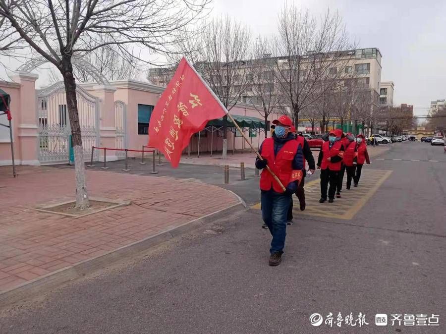 绿化带|东营区文汇街道：“红色因子”点靓社区建设最美底色