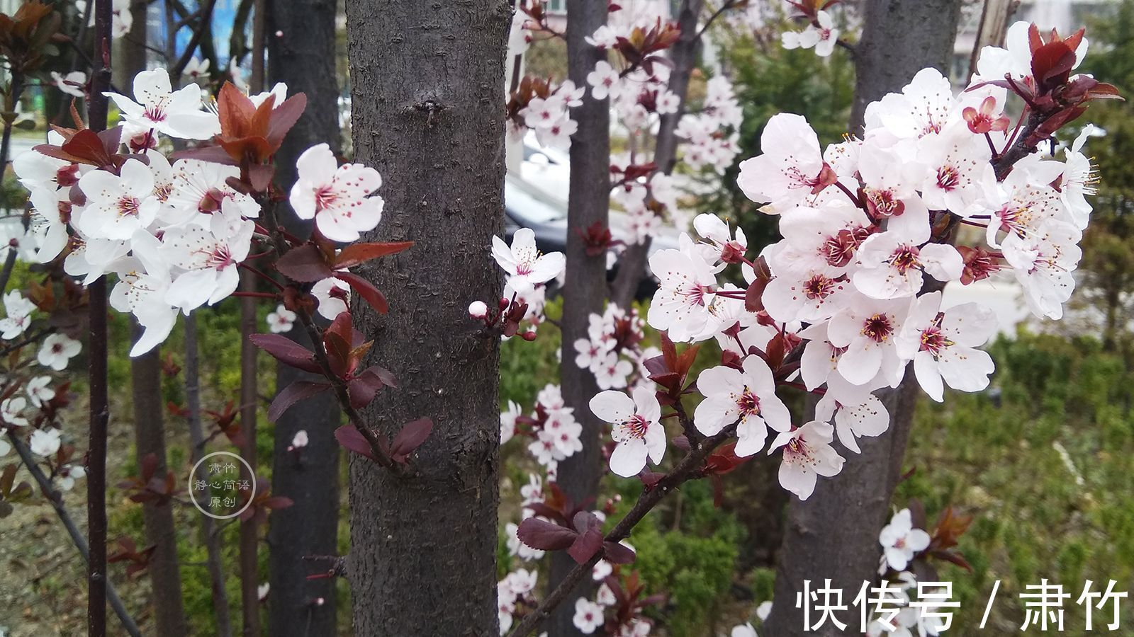 肃竹&闲暇时光，把日子坐成一首旋律