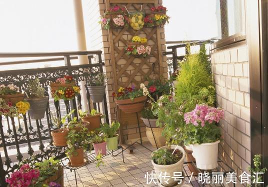 世界上最稀奇古怪的花儿,大多数人连一种都没见过,漂亮