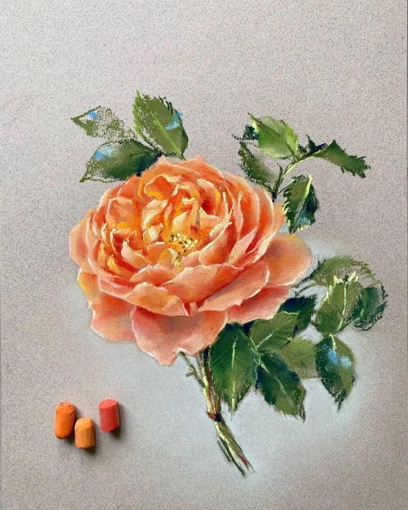 鲜花!太疯狂了!原来用粉笔画画,也可以这么美,简单几招教你,美到邻居羡慕嫉妒