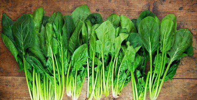 鸡蛋|骨质疏松不可以吃鸡蛋?骨科大夫:要想骨头好,这3种食物要少吃