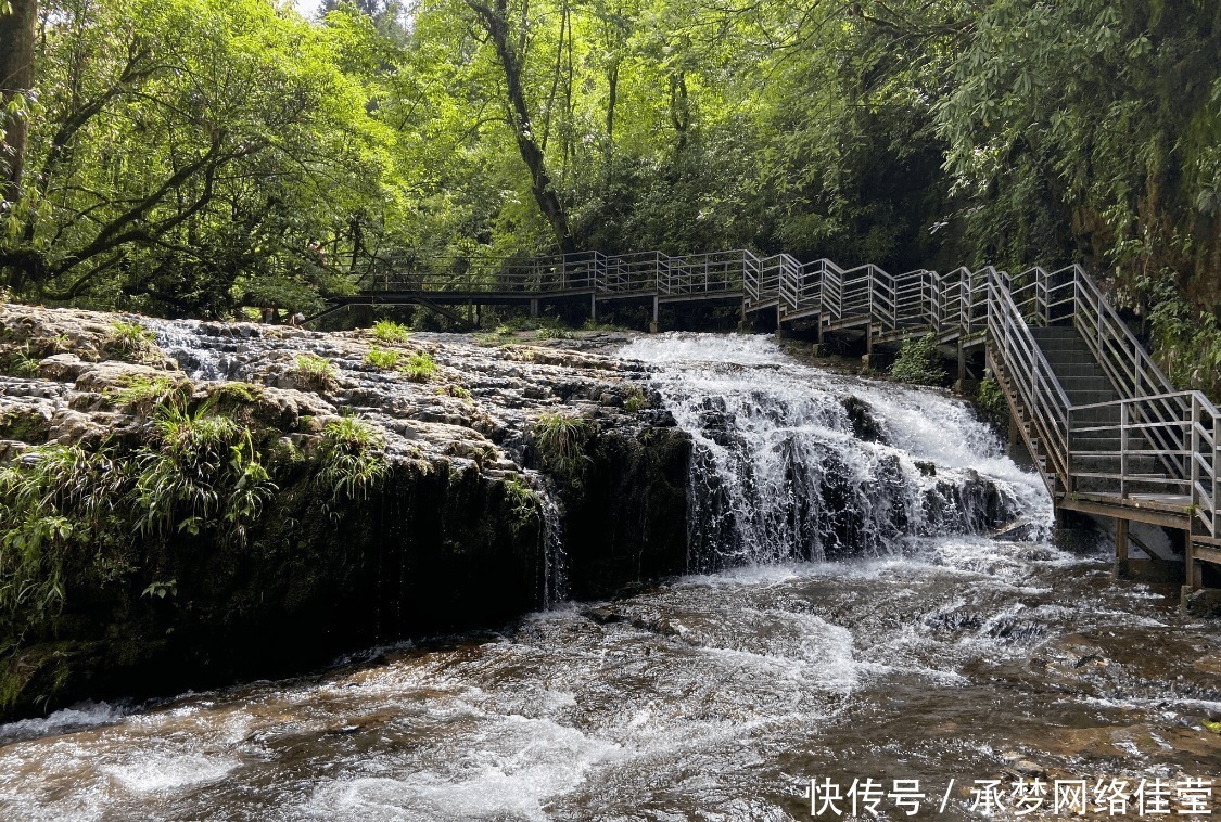 蒙顶山|中国一座“最爱哭泣”的城市，夏天只有23度，适合假日避暑游