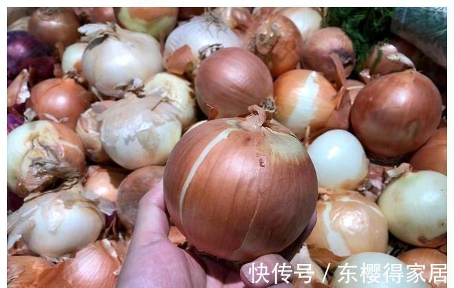 黄皮|夏天买洋葱，遇到紫皮和黄皮选哪个？菜农：别瞎买，差别挺大的