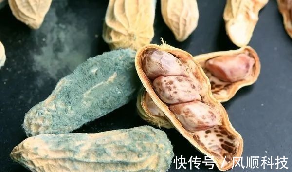 养生|癌细胞最偏爱5个味道,有人个个都沾!尤其第3个,很多人还以为很养生