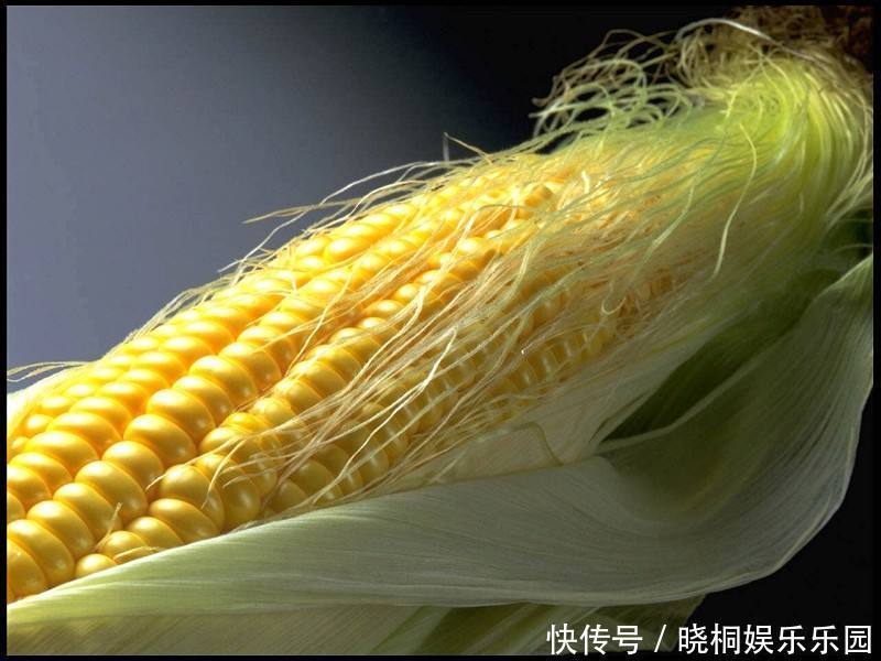 黄芪“天仙配”已公布,泡水喝,祛寒湿,补气血,身体会感激你