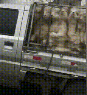 |搞笑GIF动图：这样玩你老婆的化妆品，在作死的边缘徘徊