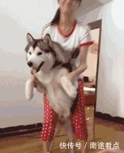 妹子|妹子,一看你平时就缺乏锻炼啊