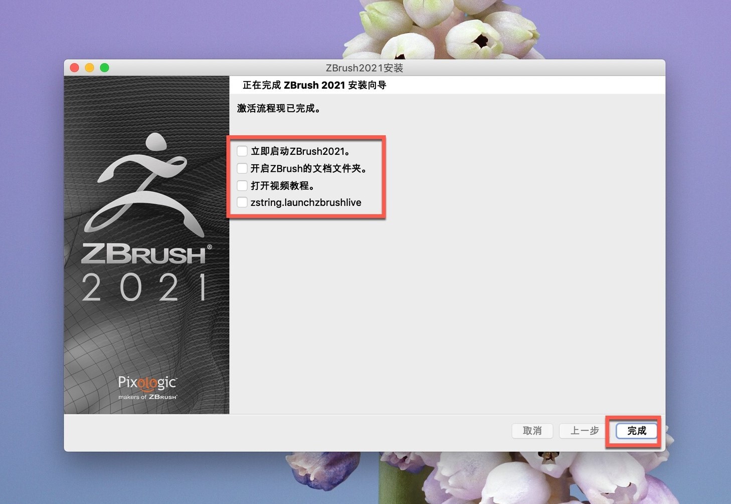 ZBrush 2021 for Mac (三维数字雕刻软件) v2021.7.1 中文激活版