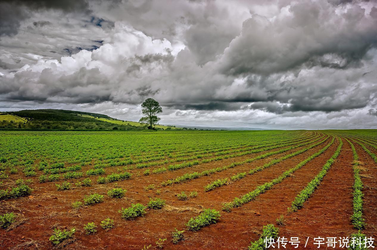 退休老人健康生活，坚持做好6个要点，长寿将会向您“招手”