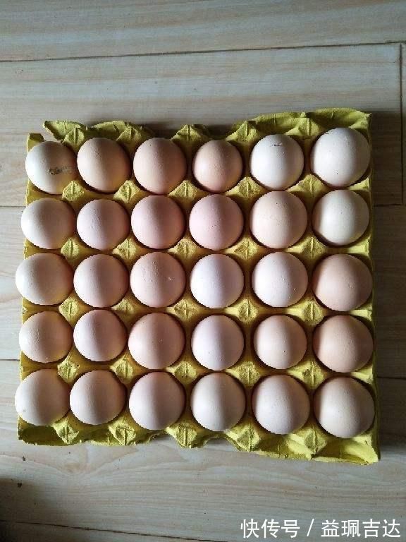 鸡蛋、鸭蛋、鹅蛋、鹌鹑蛋、鸽子蛋，这么多蛋，哪种最营养？